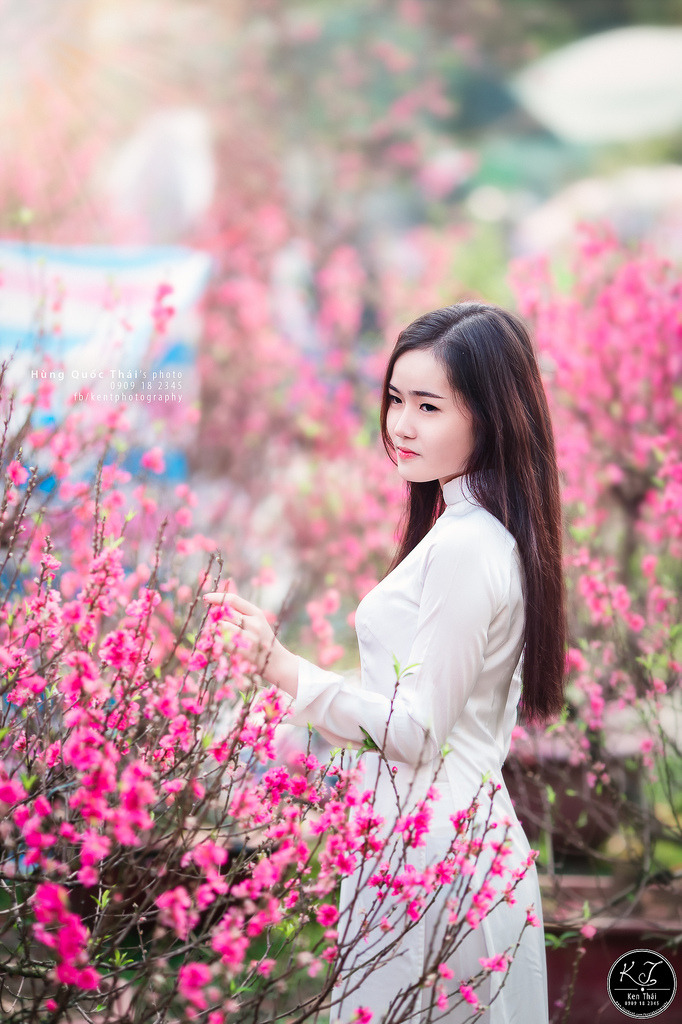 桃花av在线