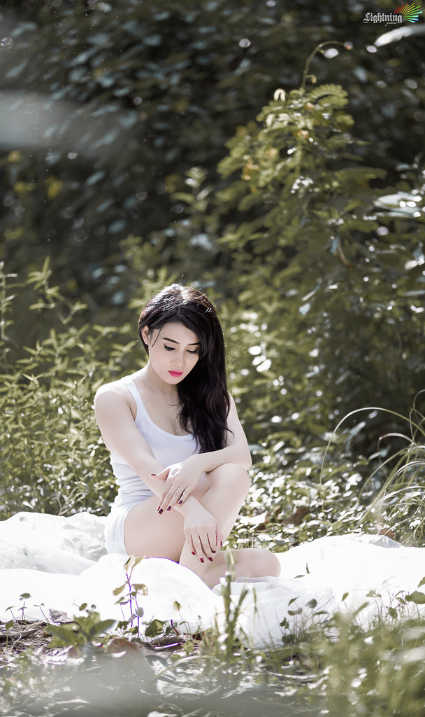 完美世界动漫在线观看免费全集高清