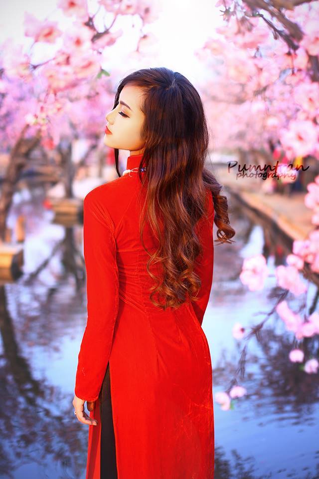风骚律师第六季电视剧